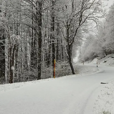 Boutique La Quiete Del Bosco - A Plant Based ベッド・アンド・ブレックファスト