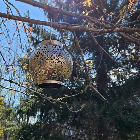 Bed & Breakfast Vegan Boutique La Quiete Del Bosco - Valentine's Dinner Available