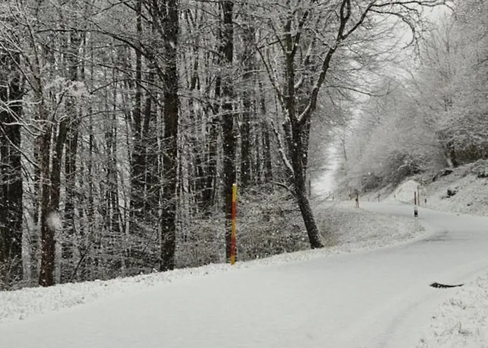 Boutique La Quiete Del Bosco - A Plant-based Alojamento de Acomodação e Pequeno-almoço