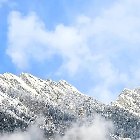 Oda ve Kahvaltı Boutique La Quiete Del Bosco - A Plant-based Mesocco