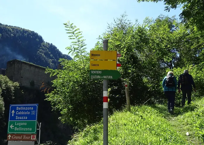 Oda ve Kahvaltı Boutique La Quiete Del Bosco - A Plant-based