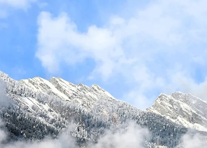 Oda ve Kahvaltı Boutique La Quiete Del Bosco - A Plant-based Mesocco